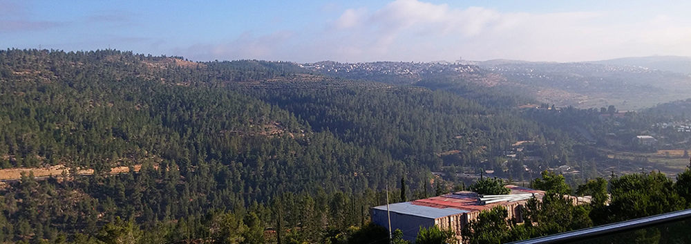 Ein Kerem Hotel Jerusalén Exterior foto